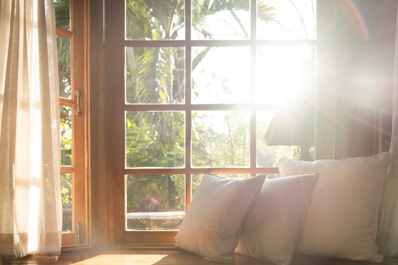 How to Find the Right Dehumidifier for Your Home in Lake Placid, FL
